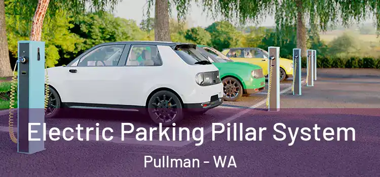 Electric Parking Pillar System Pullman - WA