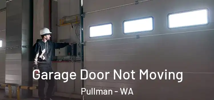  Garage Door Not Moving Pullman - WA