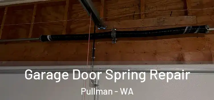  Garage Door Spring Repair Pullman - WA