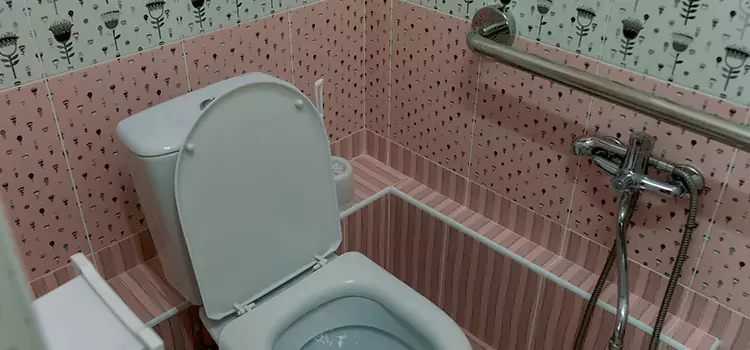 Meeting Diverse Needs With Accessible Restroom Solutions in Pullman, WA
