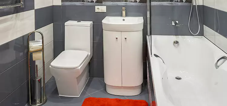Hansgrohe Shaving Mirror Pullman