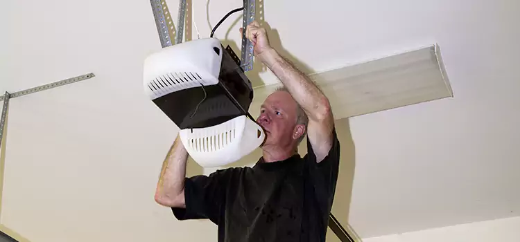 Garage Door Opener Service Pullman