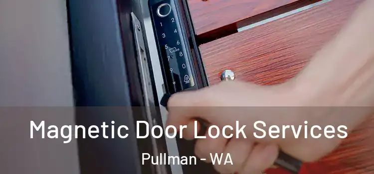  Magnetic Door Lock Services Pullman - WA